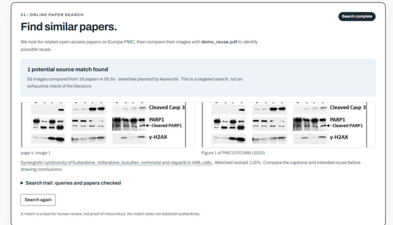 Below the Watermark – screenshot 1