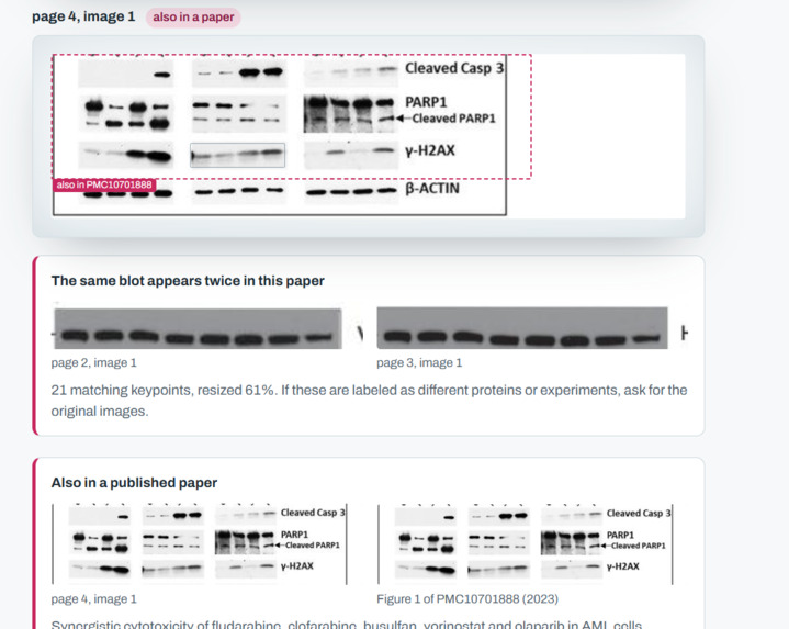 Below the Watermark – screenshot 2