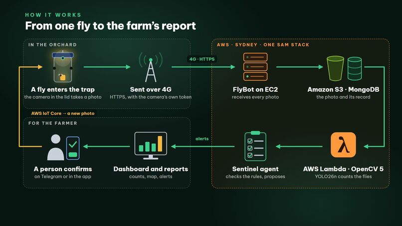 FlyBot on AWS – screenshot 7