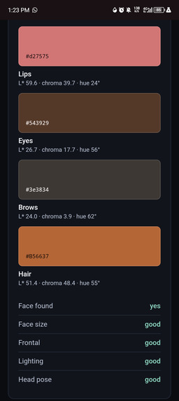 CHROMA – screenshot 5