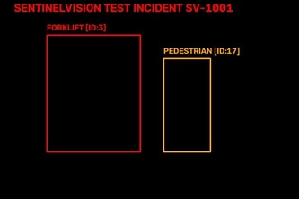 SentinelVision