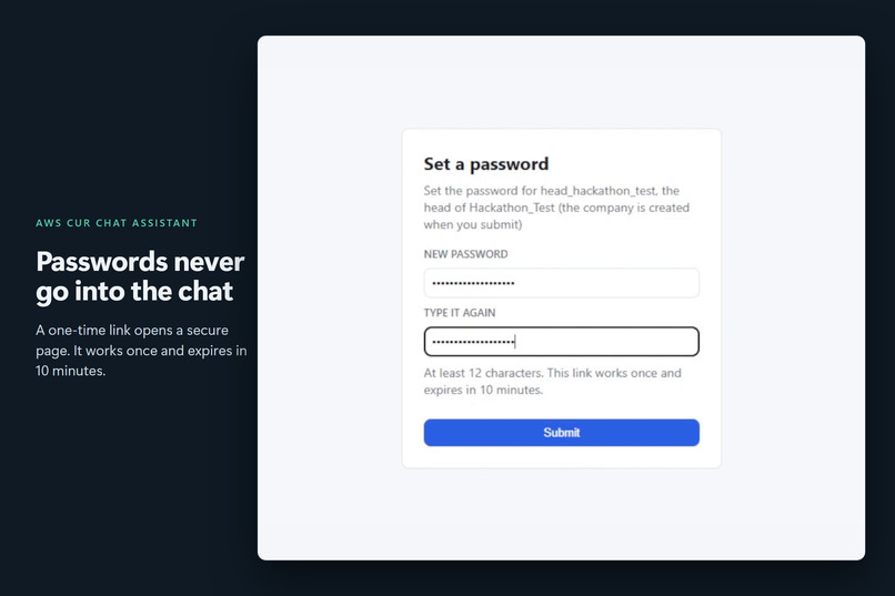 AWS CUR Chat Assistant – screenshot 3