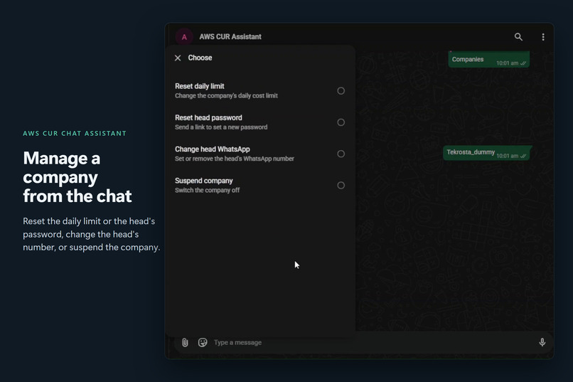 AWS CUR Chat Assistant – screenshot 5