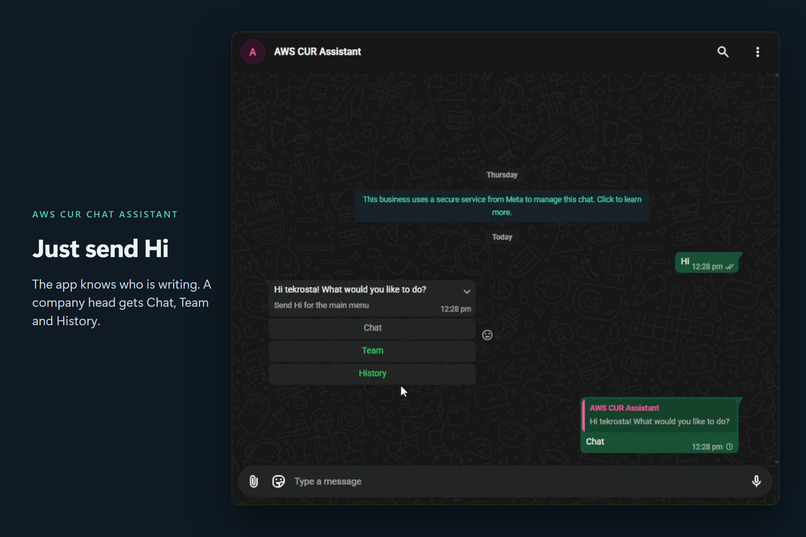 AWS CUR Chat Assistant – screenshot 8