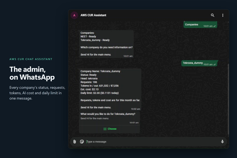 AWS CUR Chat Assistant – screenshot 11