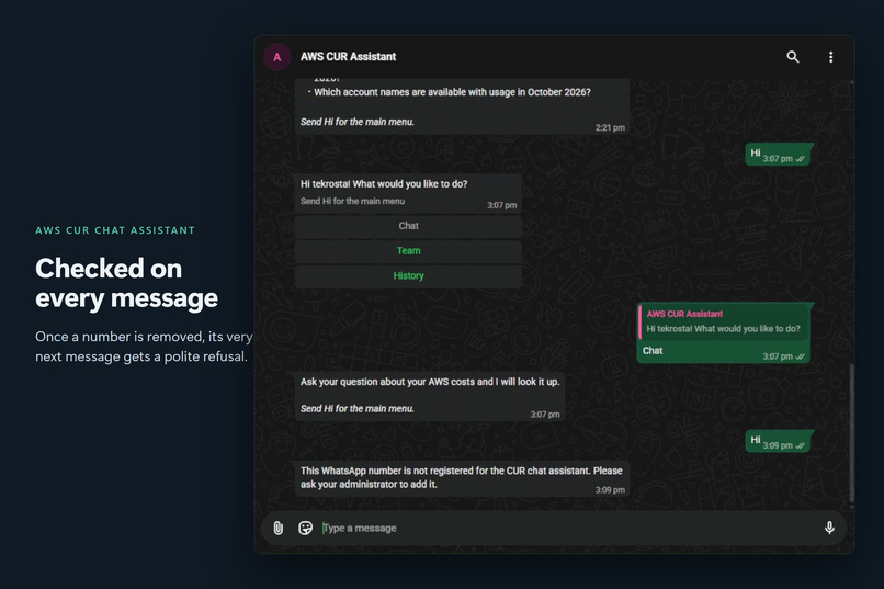 AWS CUR Chat Assistant – screenshot 12
