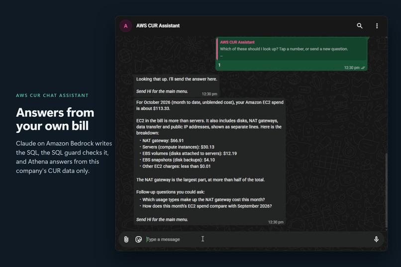 AWS CUR Chat Assistant – screenshot 13