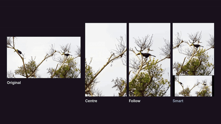 Reframe Lab – screenshot 2