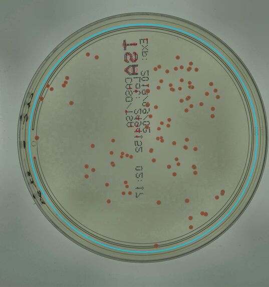 Agentic Lab Vision – screenshot 4