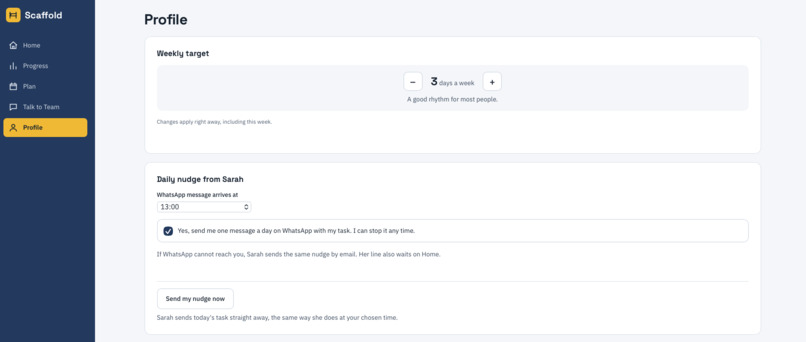 Scaffold – screenshot 5