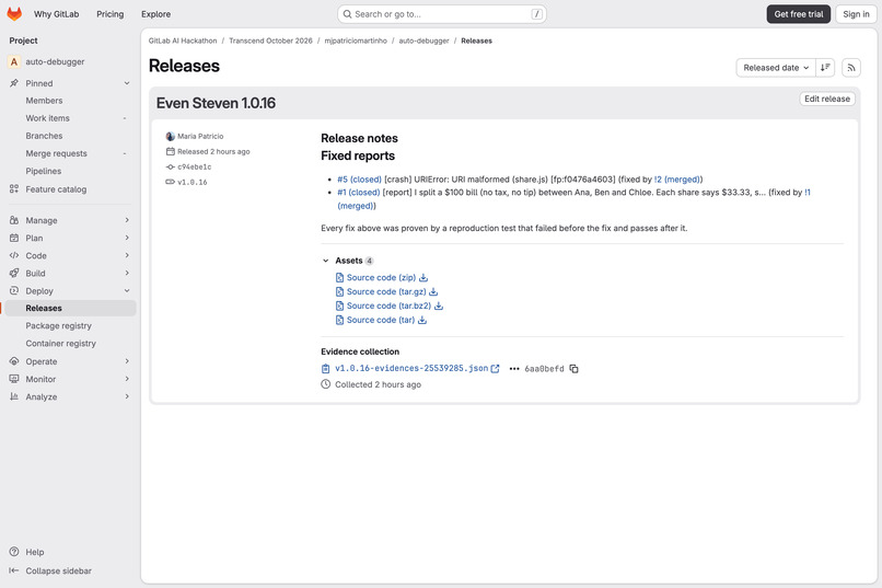 Auto-debugger – screenshot 5