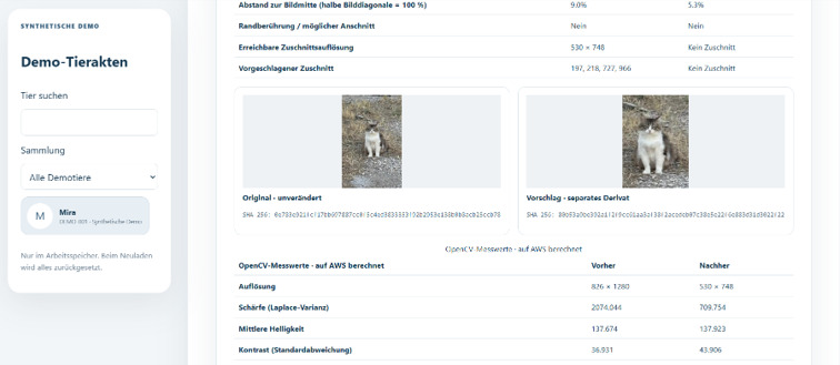 Grace Vision for GraceWays Animals – screenshot 1