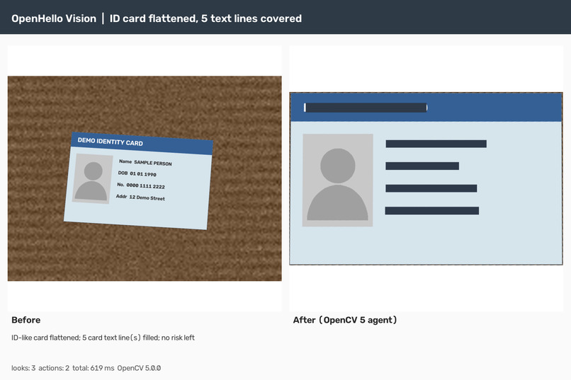 OpenHello Vision – screenshot 9