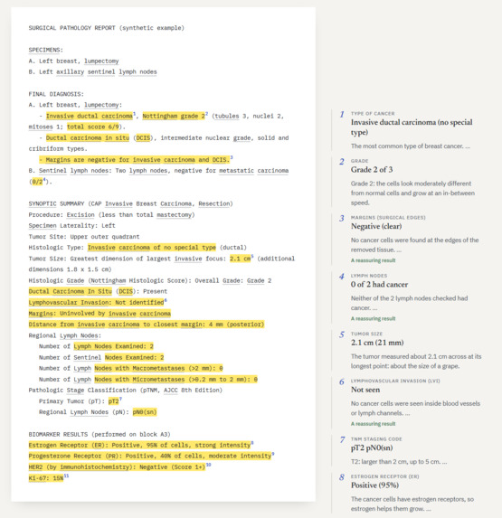 PathLight – screenshot 3