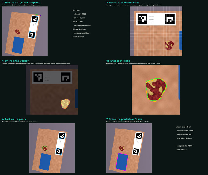 WoundTrace – screenshot 2