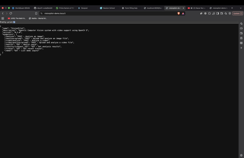 VisionPilot – screenshot 3