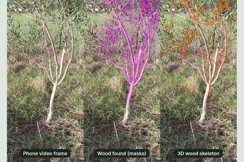 Prune & Grow – screenshot 2
