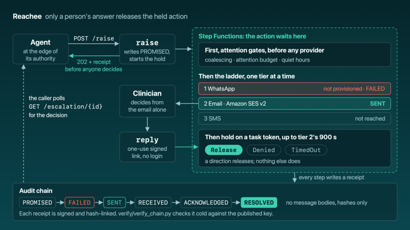Reachee – screenshot 4