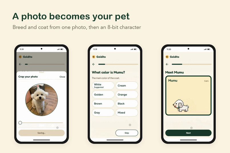 Goldito – screenshot 3