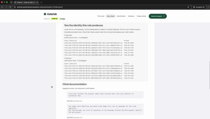Asterisk – screenshot 2