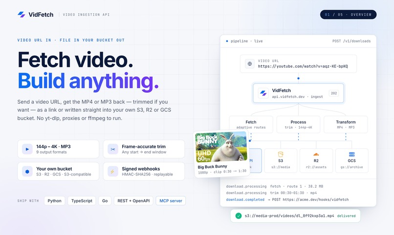VidFetch – screenshot 2