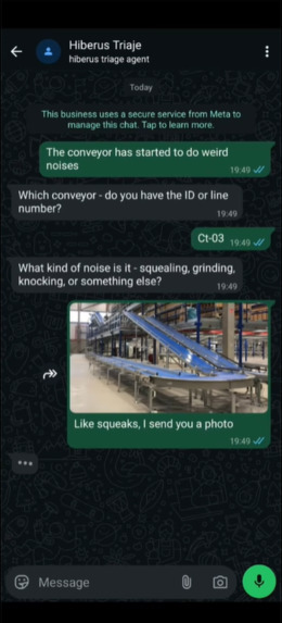 Hiberus Triage Agent – screenshot 1