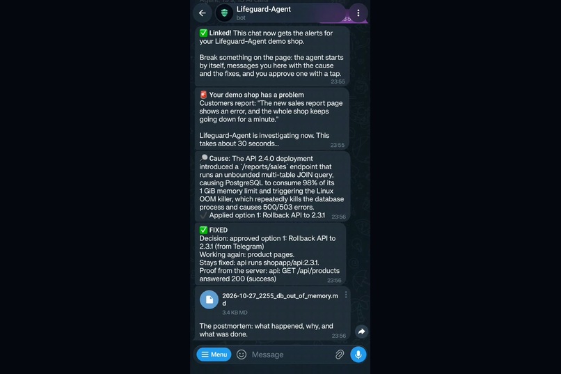 Lifeguard Agent – screenshot 7