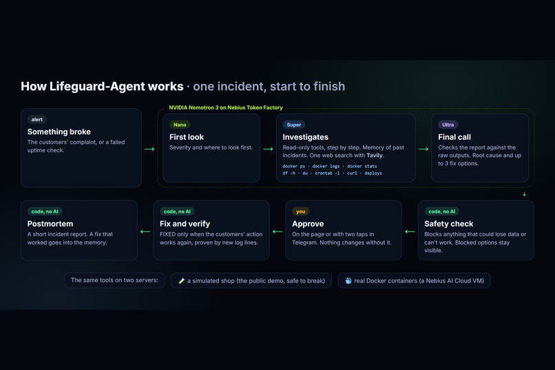 Lifeguard Agent – screenshot 9