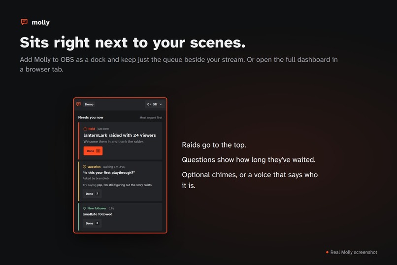 Molly – screenshot 5