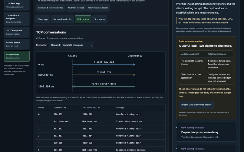 Rootweaver Resolve – screenshot 2