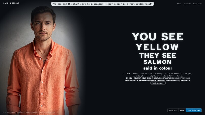 Said in Colour – screenshot 2