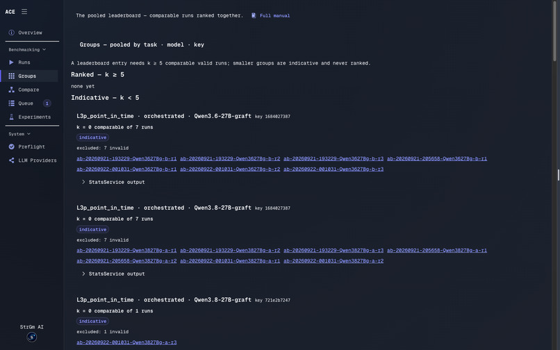 Agentic Coding Evaluation (ACE) – screenshot 14
