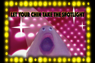 chintastic