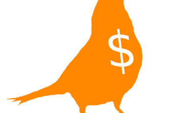 Budgey
