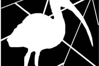 Ibis