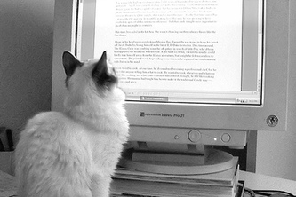 proCATstination