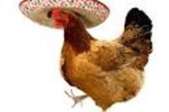 Put Your Money Where Your Mouth Is