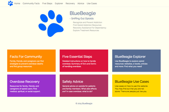 BlueBeagle 