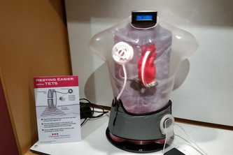 TETS Marketing and Education Demonstration Torso