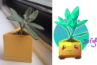 Choose Your Own Space Adventure