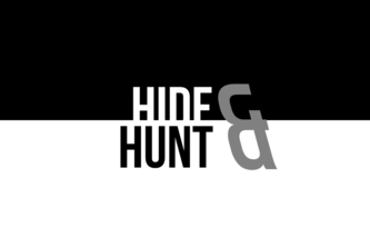 HideAndSeek