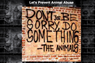 Animal Abuse - Kevin and Khushi