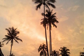 1st Thing In The Morning