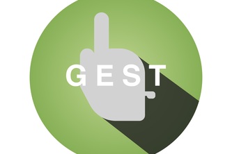 Gest