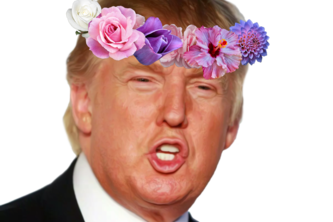 Slap-A-Trump