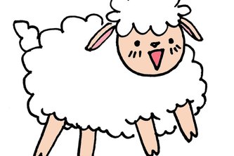 DREAM IN SHEEP