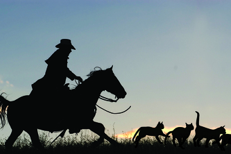 Herding Cats