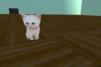 VR Pets - Kitty Edition