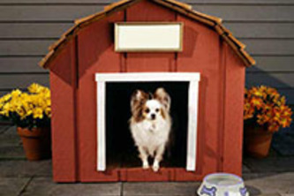 Homeless Pet Project