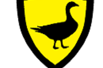 Cyber Goose